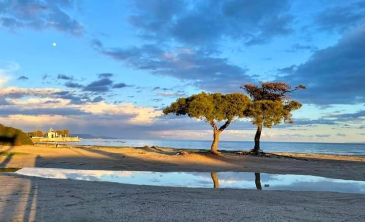 Άνετο Διαμέρισμα Луца Экстерьер фото